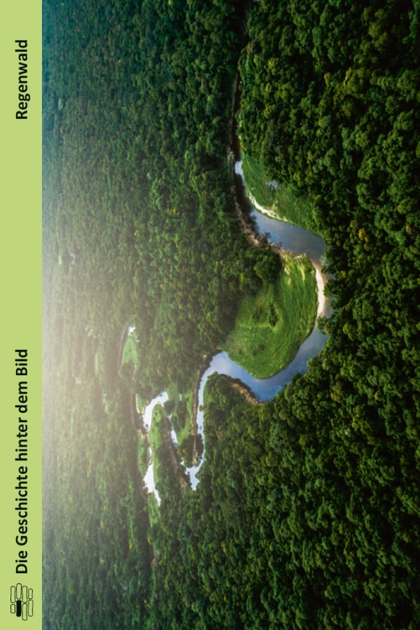 Buchcover "Regenwald" von Tom Deutschle. Das Cover zeigt eine Luftaufnahme des Regenwalds. Inmitten fließt der Amazonas. 