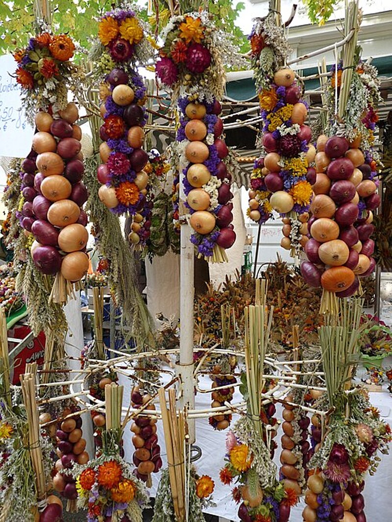 Weimarer Zwiebelmarkt mit kunstvoll gebundenen Zwiebelzöpfen. Die Zöpfe sind mit roten und gelben Zwiebeln, bunten Blumen, Äpfeln und getrockneten Pflanzen geschmückt und hängen dicht an einem Marktstand.