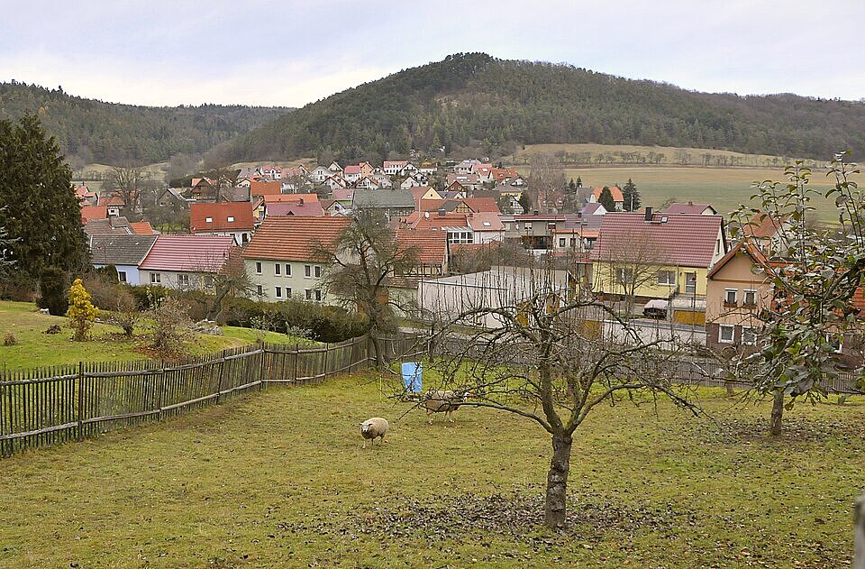 Blick auf ein ländliches Dorf mit rotgedeckten Häusern, einer eingezäunten Wiese mit Schafen, blattlosen Bäumen und bewaldeten Hügeln im Hintergrund.